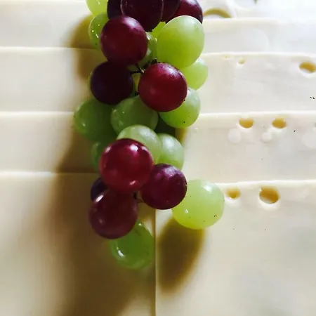 Boutiquehotel Saeumler 酒店